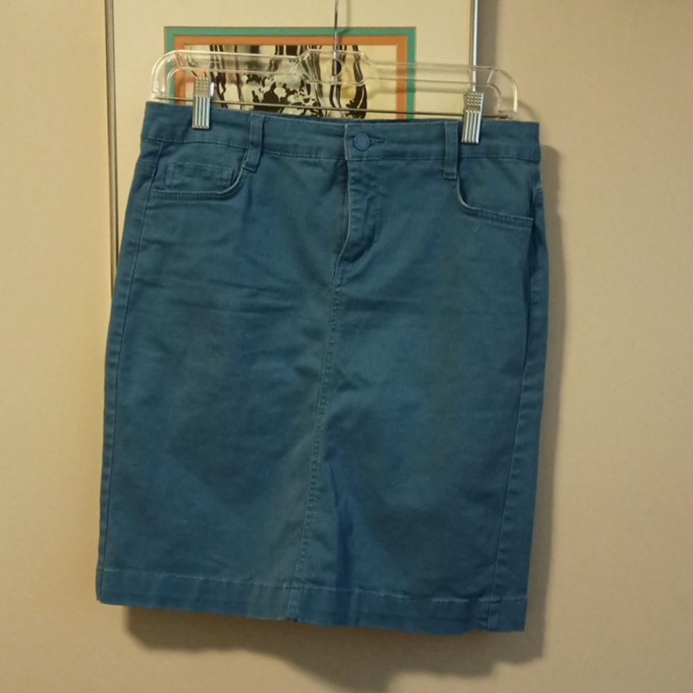 Jones New York Madison skirt